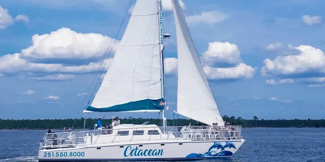 Orange Beach Dolphin & Sailing Cruise on a Catamaran - Image 2