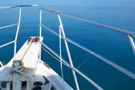 Islamorada Eco Tour: Snorkel, Kayak, and Lunch thumbnail 5
