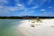 Naples Charter Tour thumbnail 5