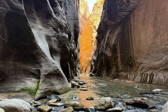 Zion National Park Guided Hike in The Narrows - Image 5