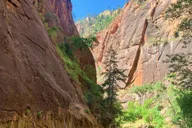 Las Vegas Zion National Park Small Group Tour thumbnail 3