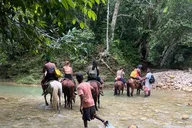 Las Terrenas ATV Adventure thumbnail 5