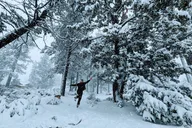 Big Bear Lake Snowshoe Tour with Hot Chocolate thumbnail 5