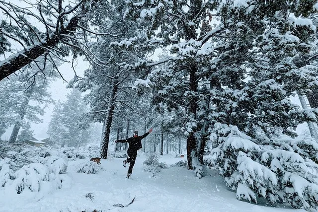 Big Bear Lake Snowshoe Tour with Hot Chocolate - Image 5