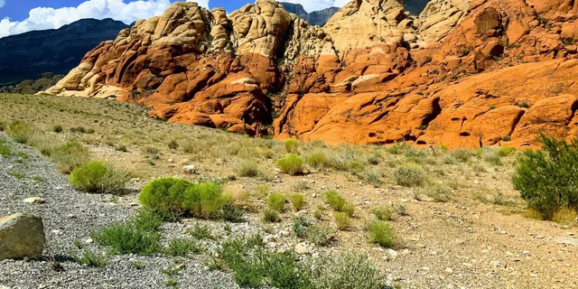 Las Vegas Red Rock Canyon & Cactus Joe's Tour 4 hr - Image 2
