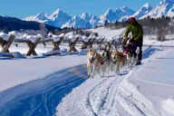 Jackson Hole Dogsledding Tour with Hot Chocolate thumbnail 1
