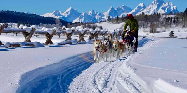 Jackson Hole Dogsledding Tour with Hot Chocolate - Image 1