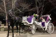 New York City Horse-Drawn Carriage Ride thumbnail 4