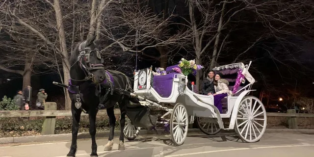 New York City Horse-Drawn Carriage Ride - Image 4