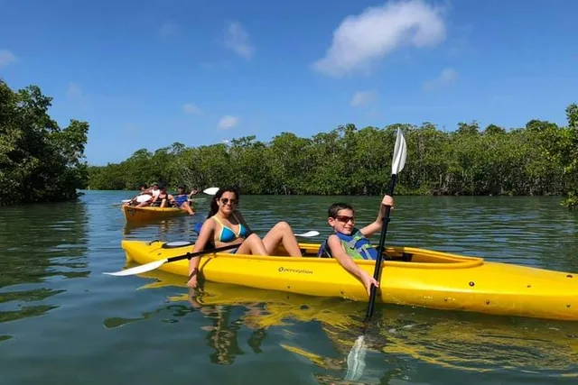 Key West Mangrove Kayak Eco Tour - Image 2