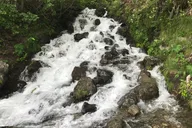 Anchorage Turnagain Arm Tour thumbnail 4