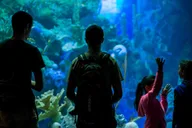 Miami Frost Science Museum and Planetarium Ticket thumbnail 5