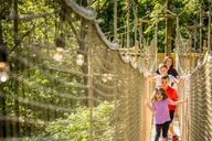 Branson Adventure Park Tour thumbnail 5