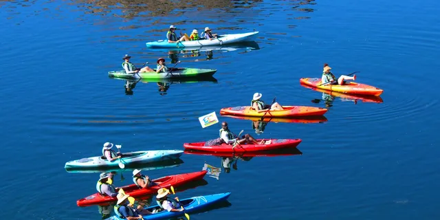 Las Vegas Kayak Tour on the Colorado River - Image 6