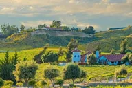 Los Angeles Temecula Wine Country Private Tour 6 hr thumbnail 6