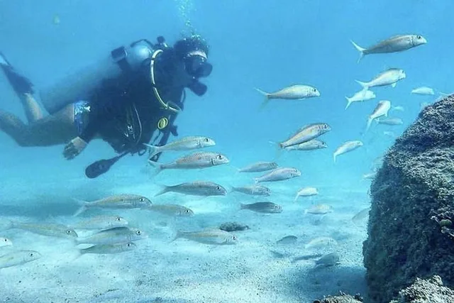 Honolulu Beginner Scuba Diving Adventure 90 Min - Image 5