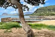 Hawaii Snorkeling with Dolphins Tour thumbnail 6
