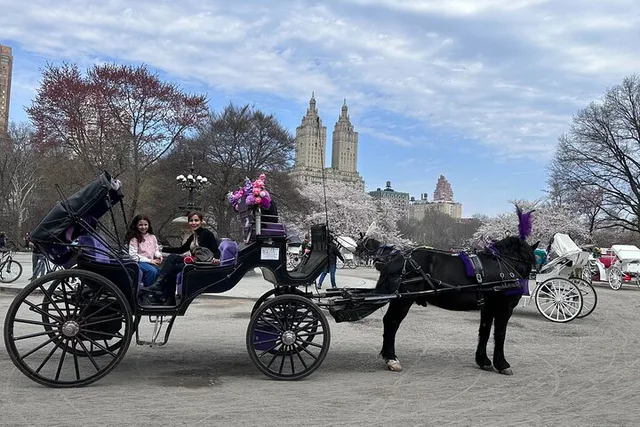 New York City Horse Carriage Ride in Central Park - Image 3