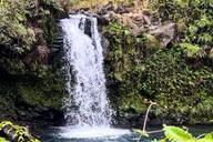 Maui Road to Hana Tour with Lunch thumbnail 6