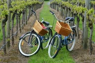 Mattituck Farm and Wine Country Bike Tour thumbnail 1
