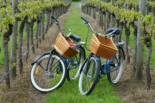 Mattituck Farm and Wine Country Bike Tour