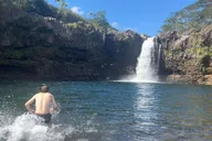 Hilo Waterfall Hike and Swim with Native Hawaiian thumbnail 3