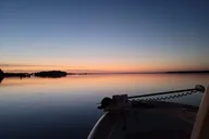 Hilton Head Island Dolphin Boat Tour thumbnail 5