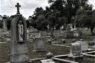 Savannah Voices of the Dead Tour 90 Min thumbnail 5