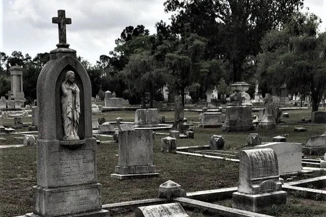 Savannah Voices of the Dead Tour 90 Min - Image 5
