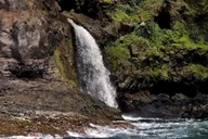 Hilo Hamakua Coast Waterfall Cruise 2 hr thumbnail 1