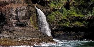 Hilo Hamakua Coast Waterfall Cruise 2 hr