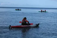 Olowalu Guided Kayak and Snorkeling Tour thumbnail 1