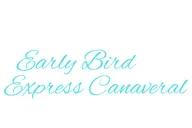 Orlando Private Transportation to Disney Cruise Line thumbnail 6