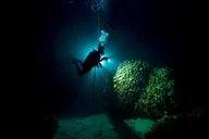 Oahu Night Dive Adventure thumbnail 2