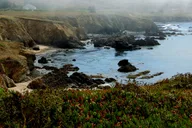 San Francisco Monterey and Carmel Day Tour thumbnail 4