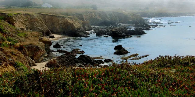 San Francisco Monterey and Carmel Day Tour - Image 4