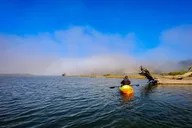 Sonoma Coast Russian River Kayak Tour thumbnail 3