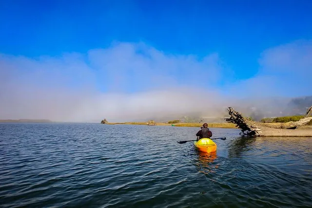 Sonoma Coast Russian River Kayak Tour - Image 3