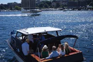 Seattle Social Sightseeing Cruise 1 hr thumbnail 6