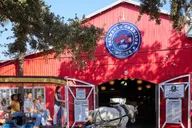 Charleston Horse-Drawn Carriage Tour thumbnail 5