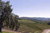 Paso Robles Wine Tour with Picnic Lunch thumbnail 6