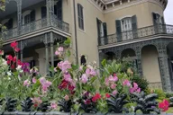New Orleans Garden District Walking Tour thumbnail 6