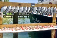 Destin Fishing Trip thumbnail 5
