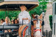 Charleston Historical Horse-drawn Carriage Tour thumbnail 2