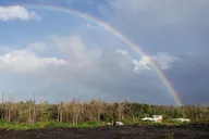 Kilauea Eruption Tour thumbnail 4
