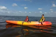 Manatee Cove Kayaking Tour with Manatee & Dolphin Sightings thumbnail 1