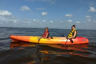 Manatee Cove Kayaking Tour with Manatee & Dolphin Sightings