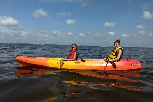Manatee Cove Kayaking Tour with Manatee & Dolphin Sightings - Image 1
