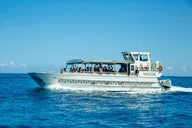 Kauai Whale Watching Cocktail Tour thumbnail 2
