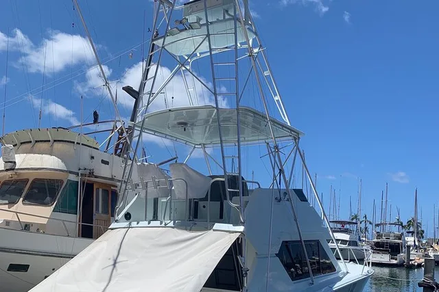 Honolulu Deep Sea Sport Fishing Tour - Image 3